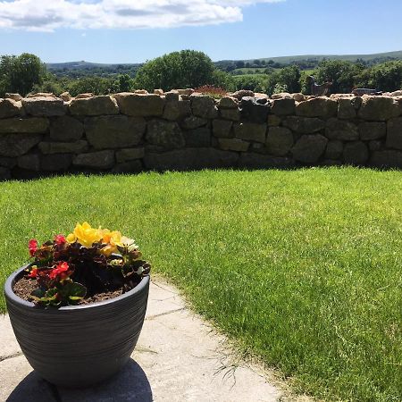 Bed and Breakfast Gooseford Farm à Okehampton Extérieur photo