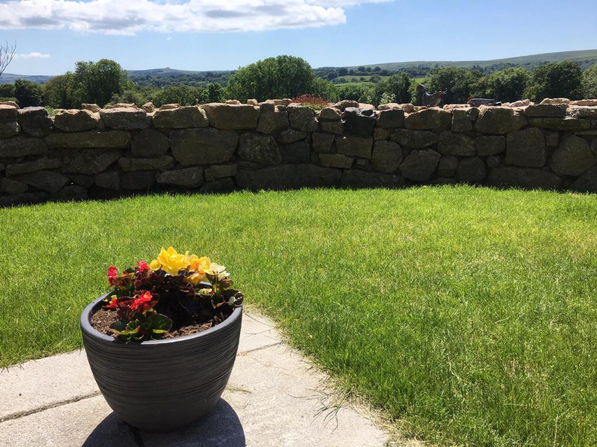 Bed and Breakfast Gooseford Farm à Okehampton Extérieur photo